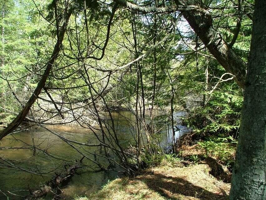 Gaylord, Otsego County, MI Undeveloped Land, Lakefront Property