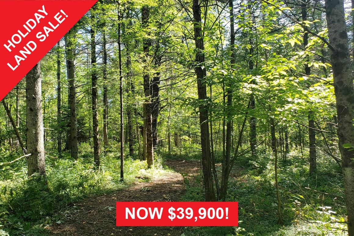 Deerskin Road, Phelps, WI 54554 MLS 11208328 LandWatch