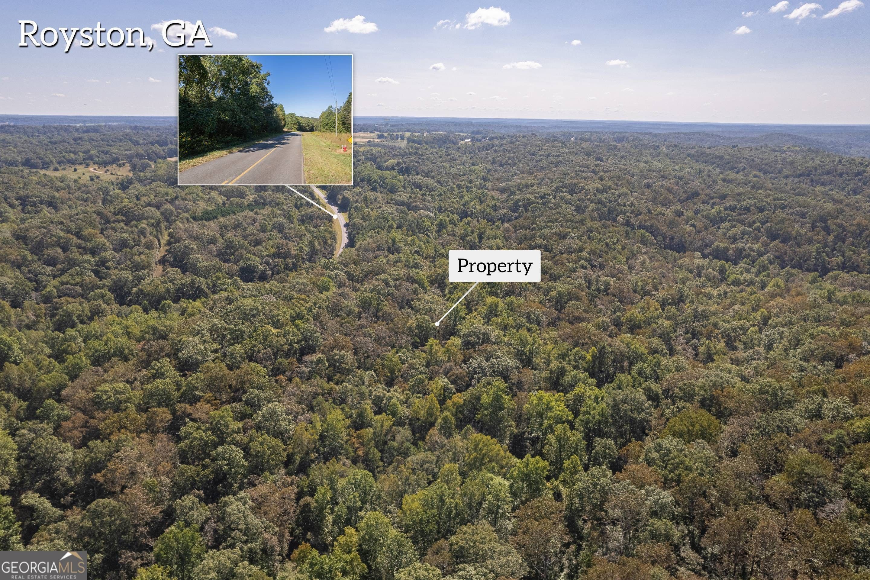 Royston, Madison County, GA Undeveloped Land for sale Property ID
