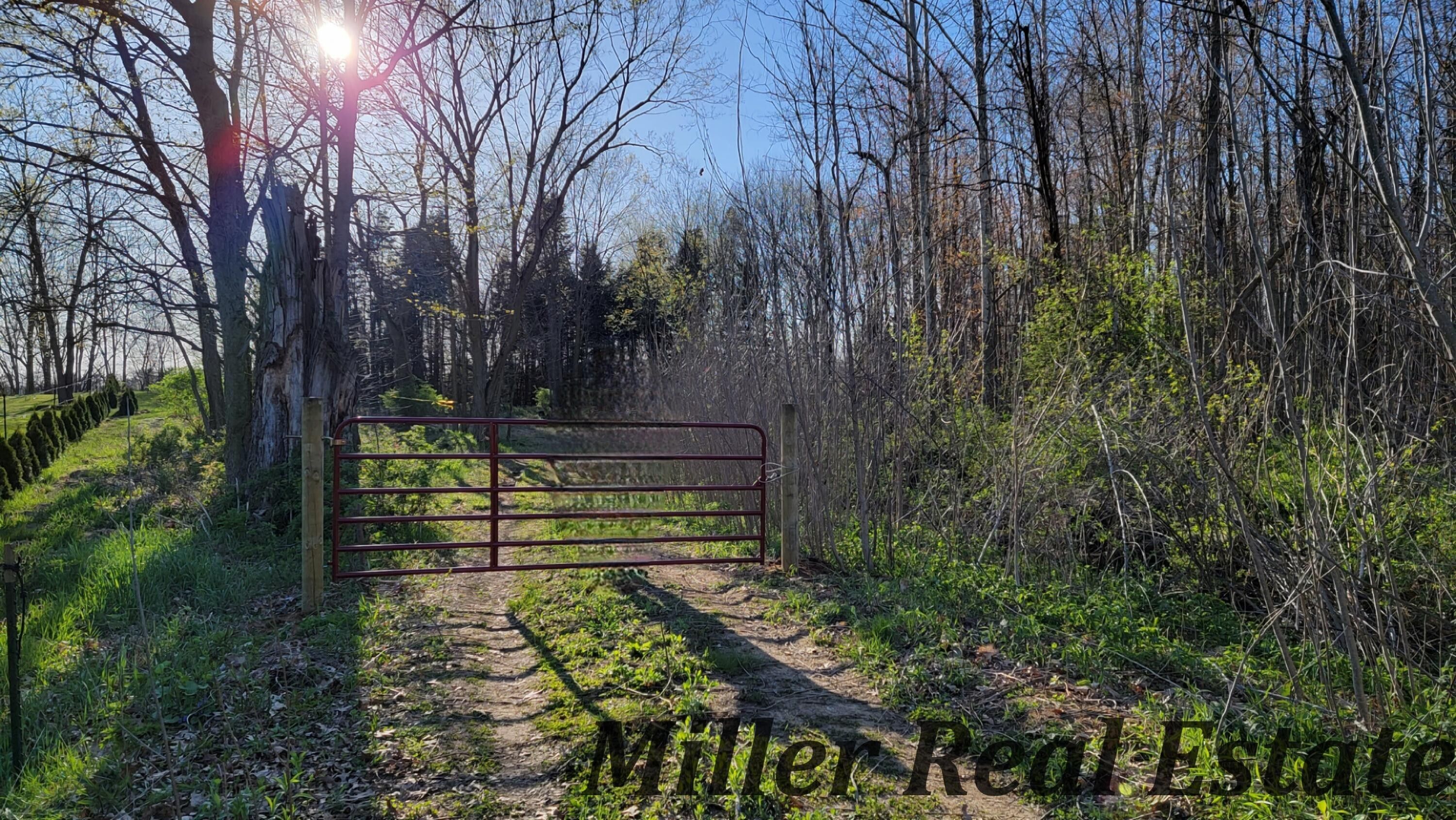 Allegan, Allegan County, MI Undeveloped Land, Homesites for sale