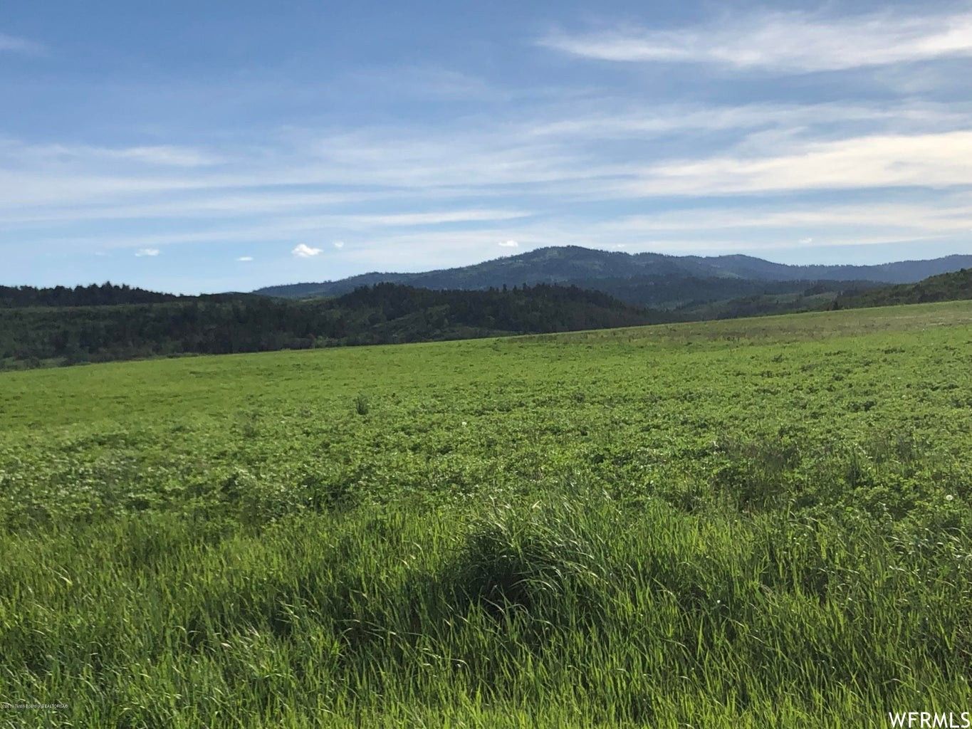 Freedom, Lincoln County, WY Undeveloped Land for sale Property ID