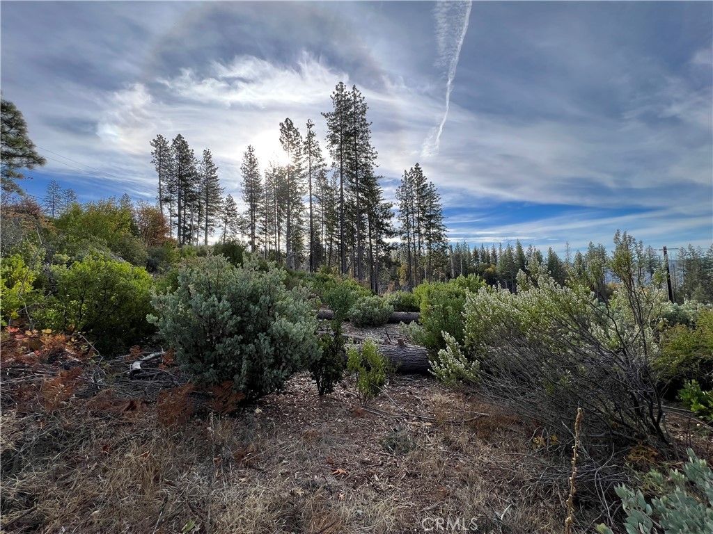 Cobb, Lake County, CA Undeveloped Land, Homesites for sale Property ID