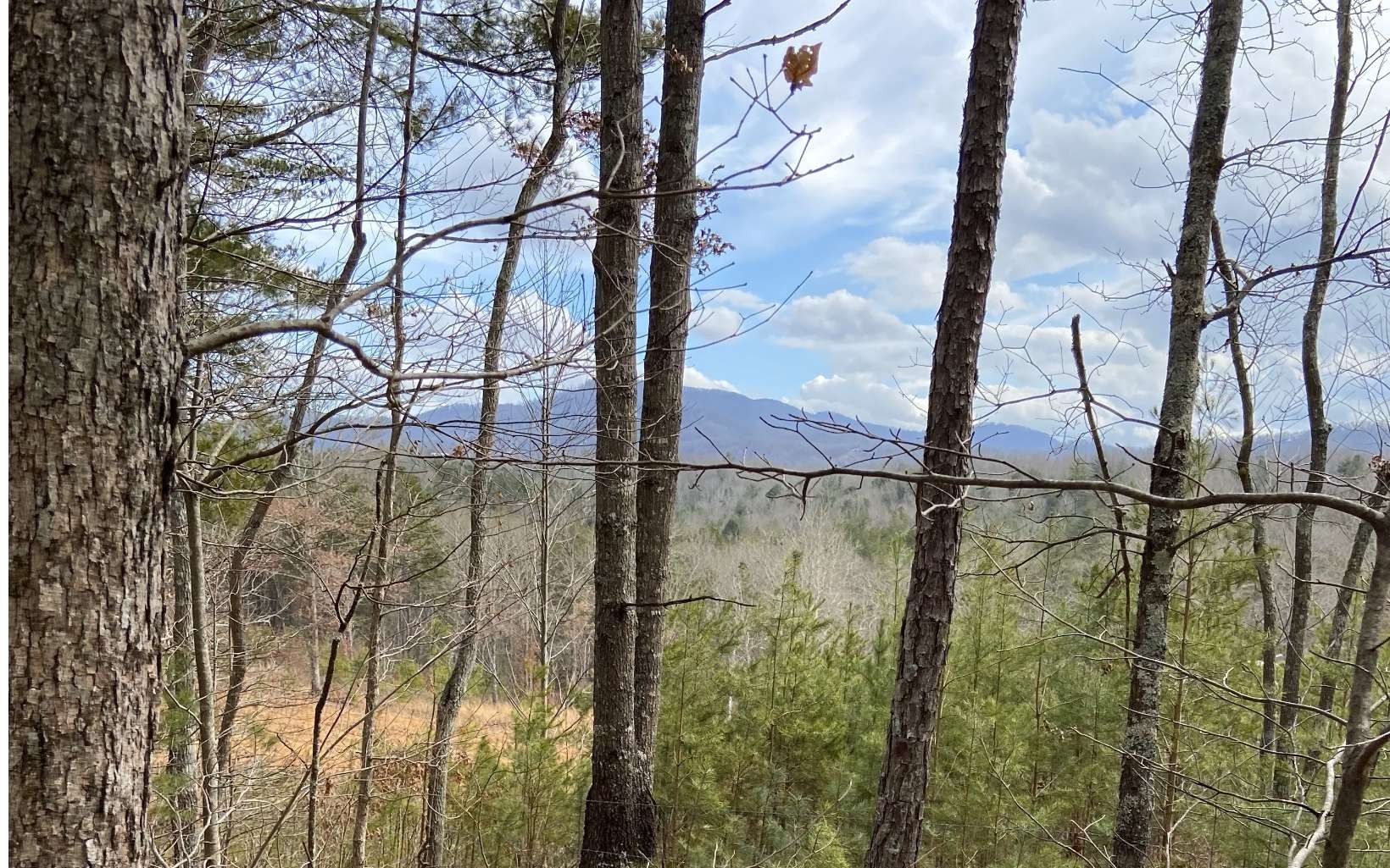 Turtletown, Polk County, TN for sale Property ID 418407105 LandWatch