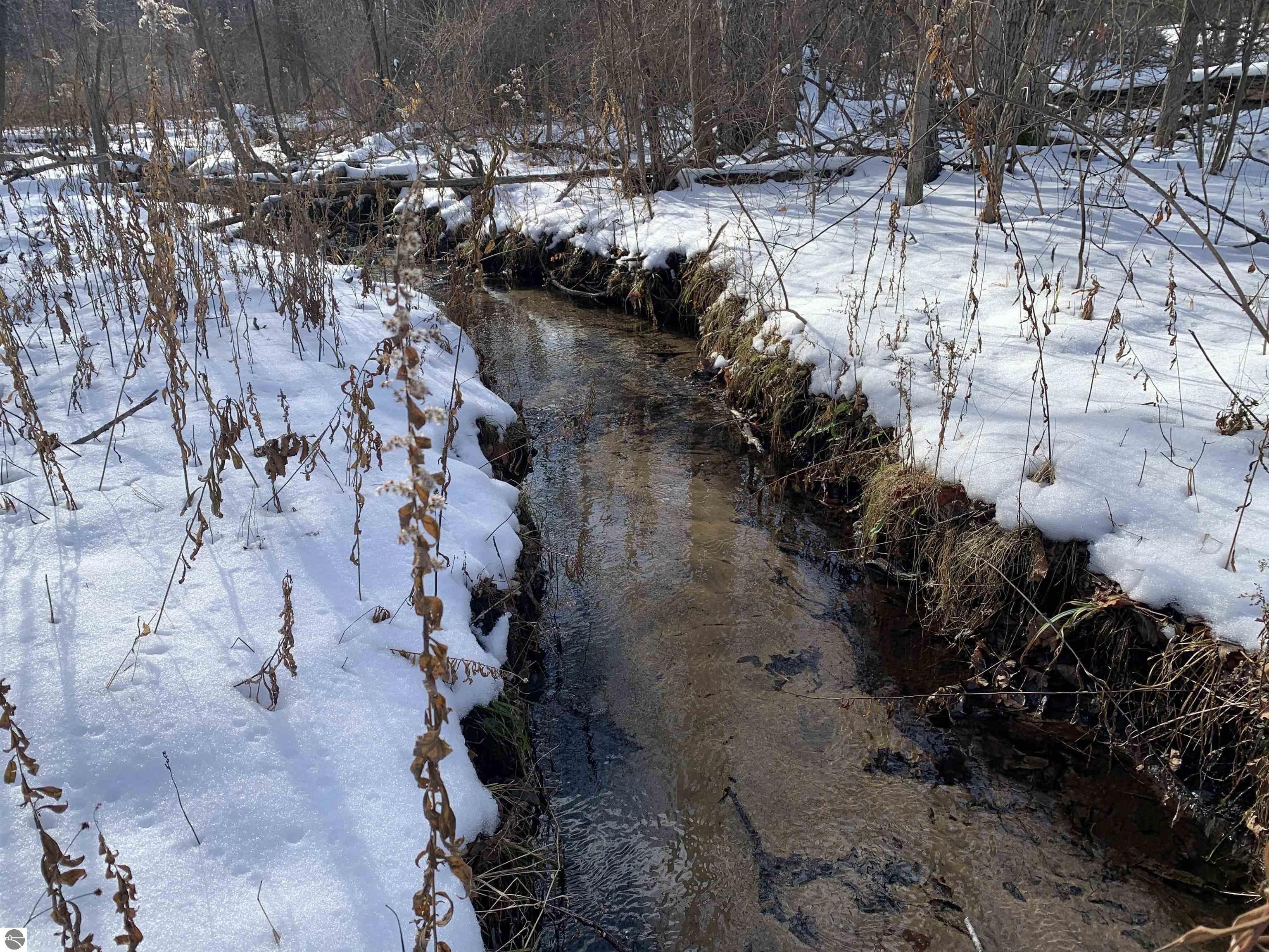 Honor, Benzie County, MI Undeveloped Land, Lakefront Property, Waterfront Property, Homesites