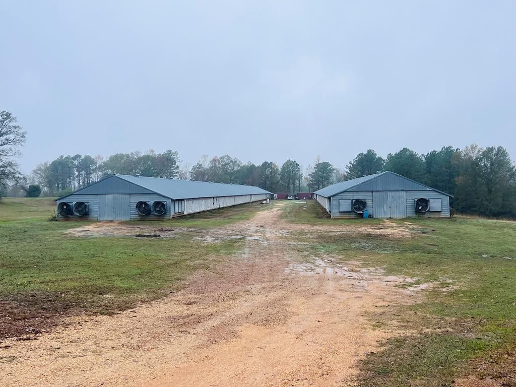 Forest, Scott County, MS Farms and Ranches, House for sale Property ID