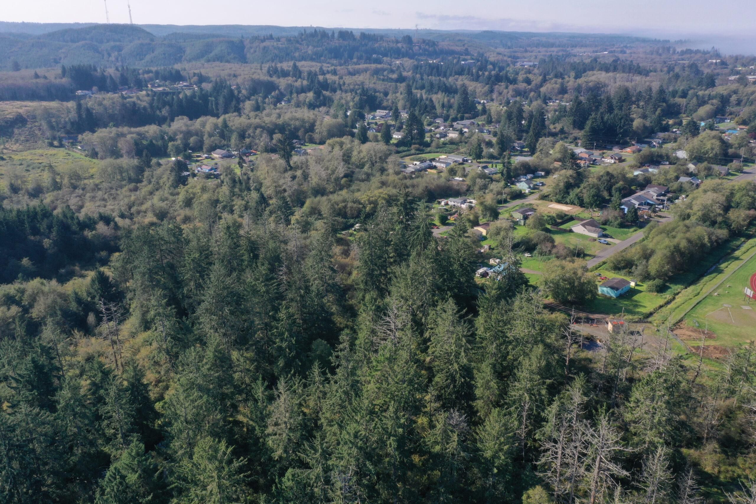 Aberdeen, Grays Harbor County, WA Recreational Property, Undeveloped