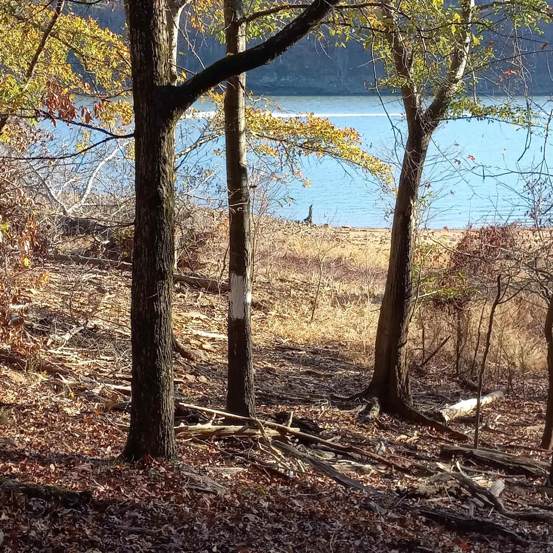 Edgemont, Cleburne County, AR Undeveloped Land, Lakefront Property