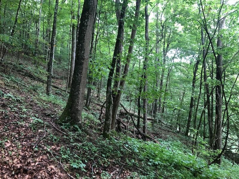 Saltville, Smyth County, VA Recreational Property, Homesites for sale