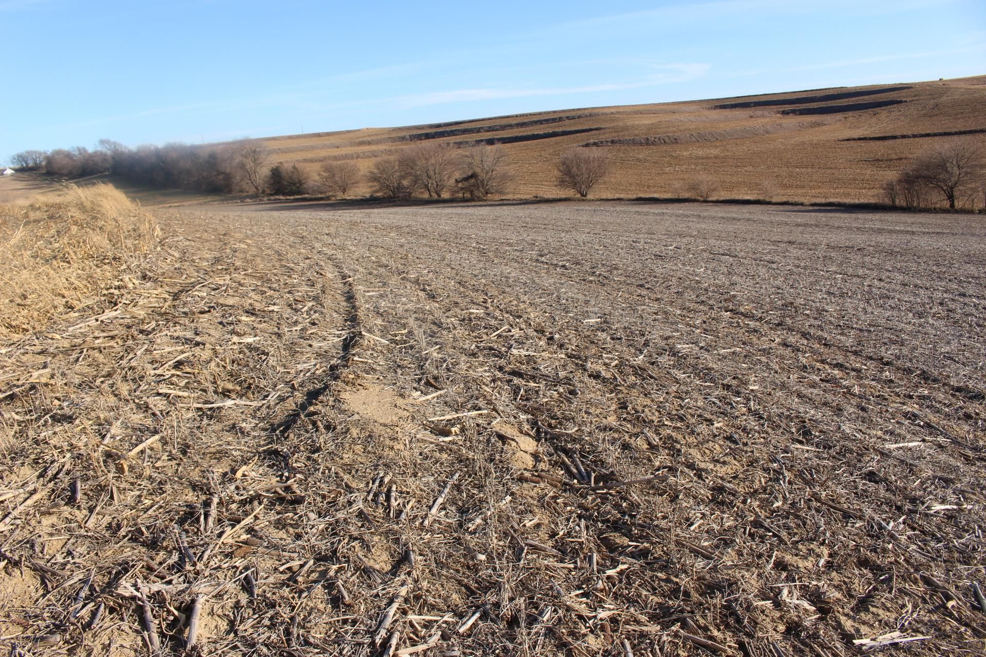 Neola, Pottawattamie County, IA Farms and Ranches, Undeveloped Land for