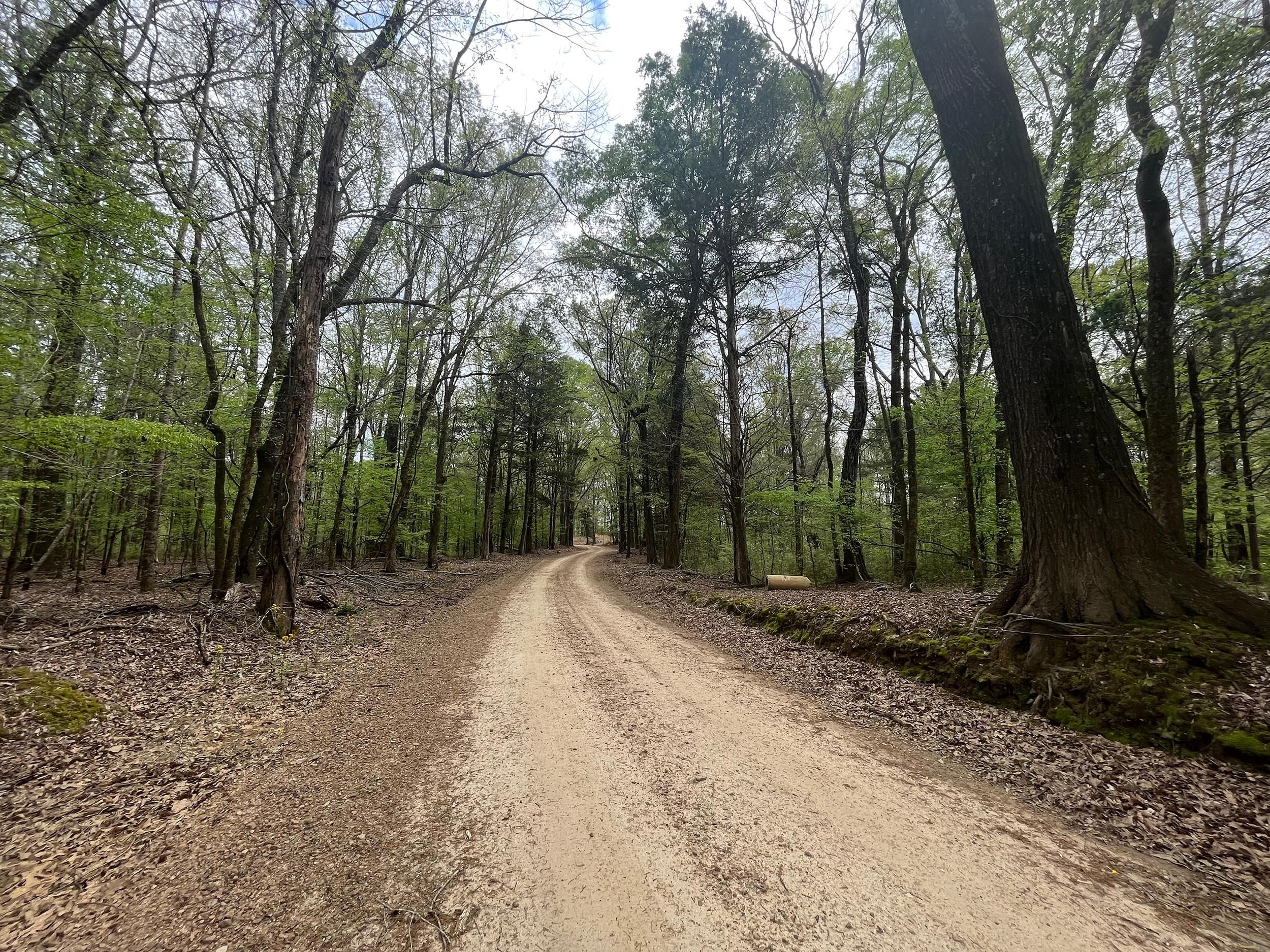 Holloman Road, Bentonia, MS 39040 LandWatch