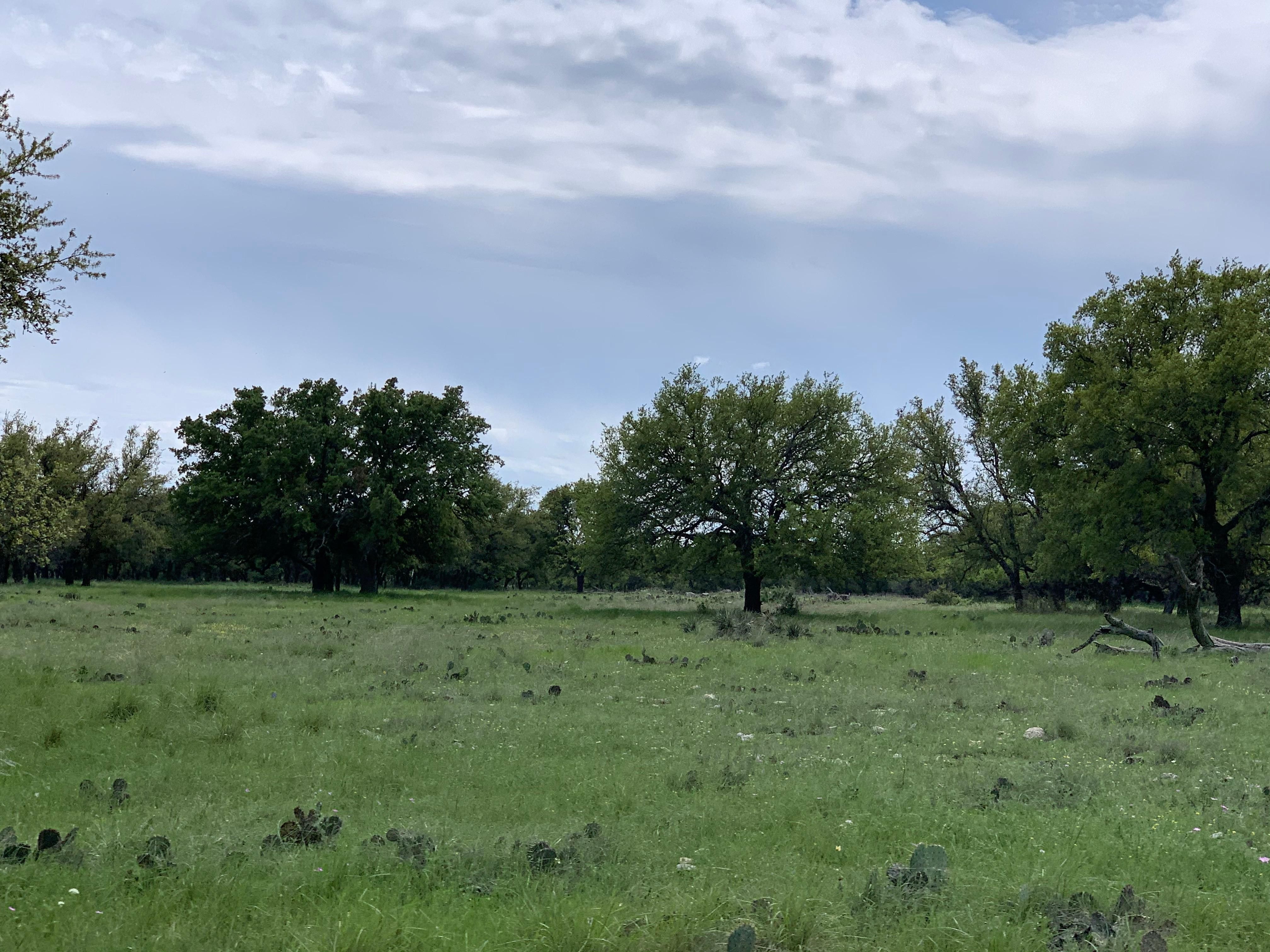 61.17 acres in Menard, TX, 76859 LandWatch