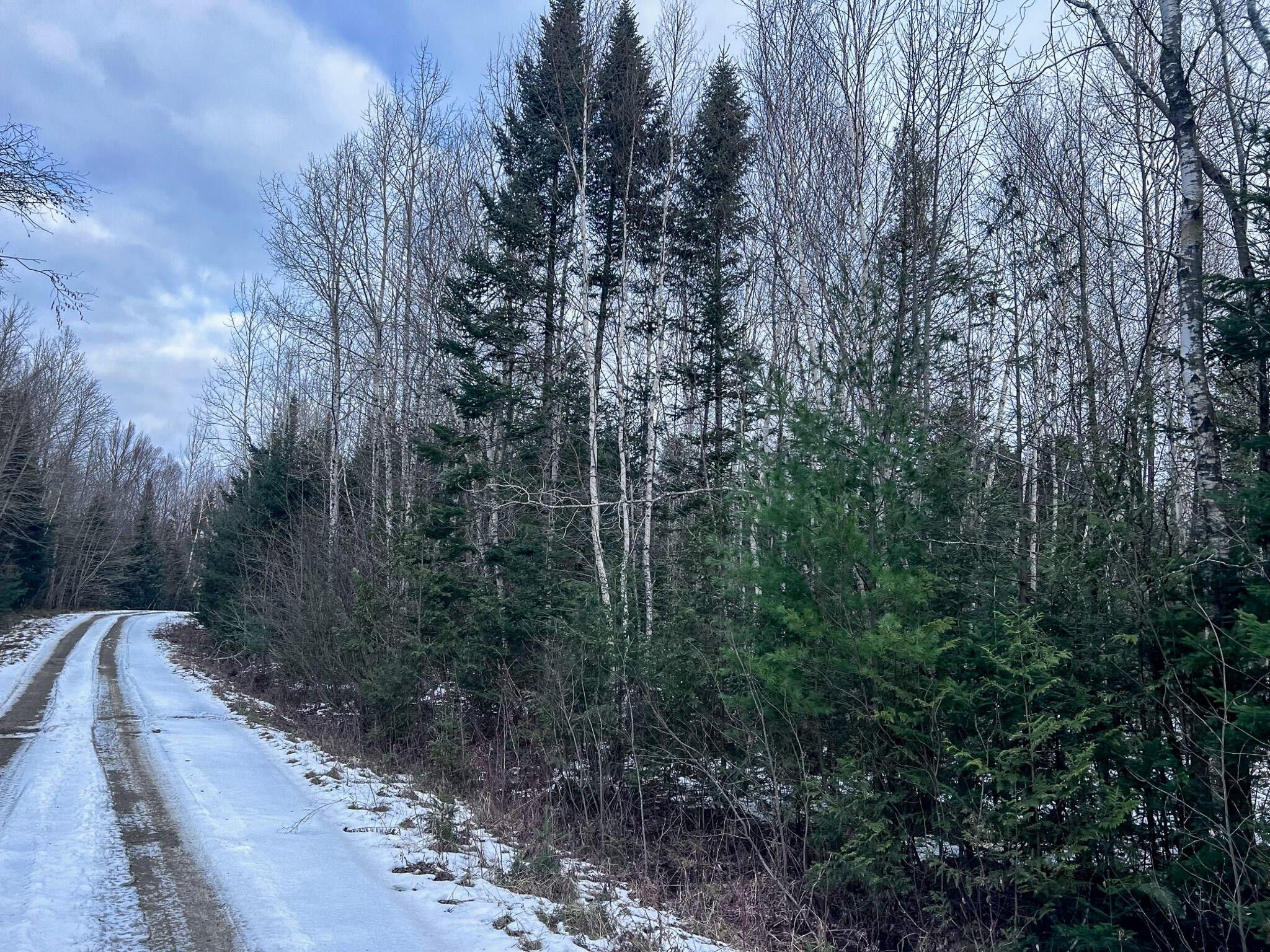 Danforth, Washington County, ME Undeveloped Land, Lakefront Property