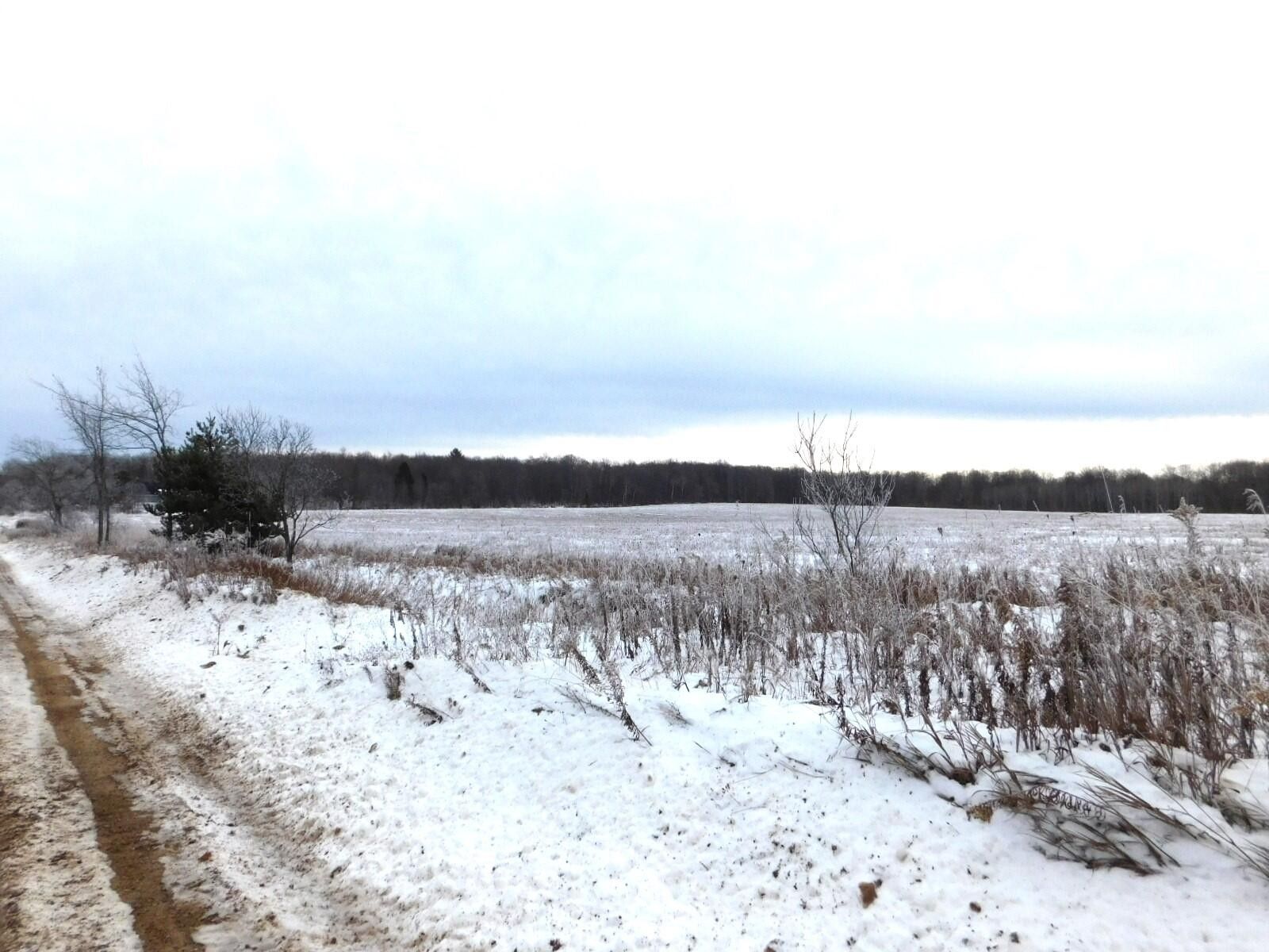 Grayling, Crawford County, MI Undeveloped Land for sale Property ID