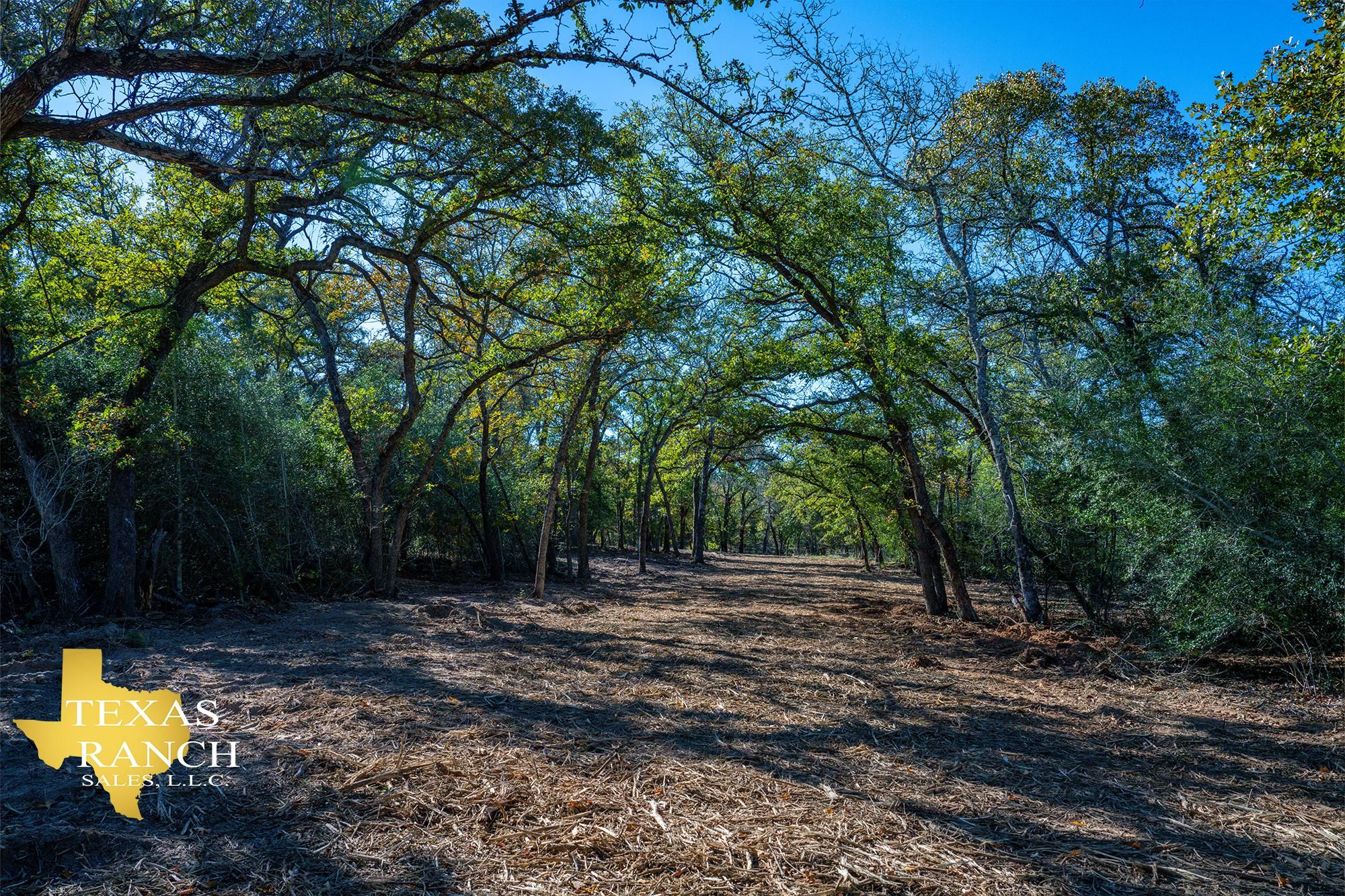 10 acres in Seguin, TX, 78155 LandWatch