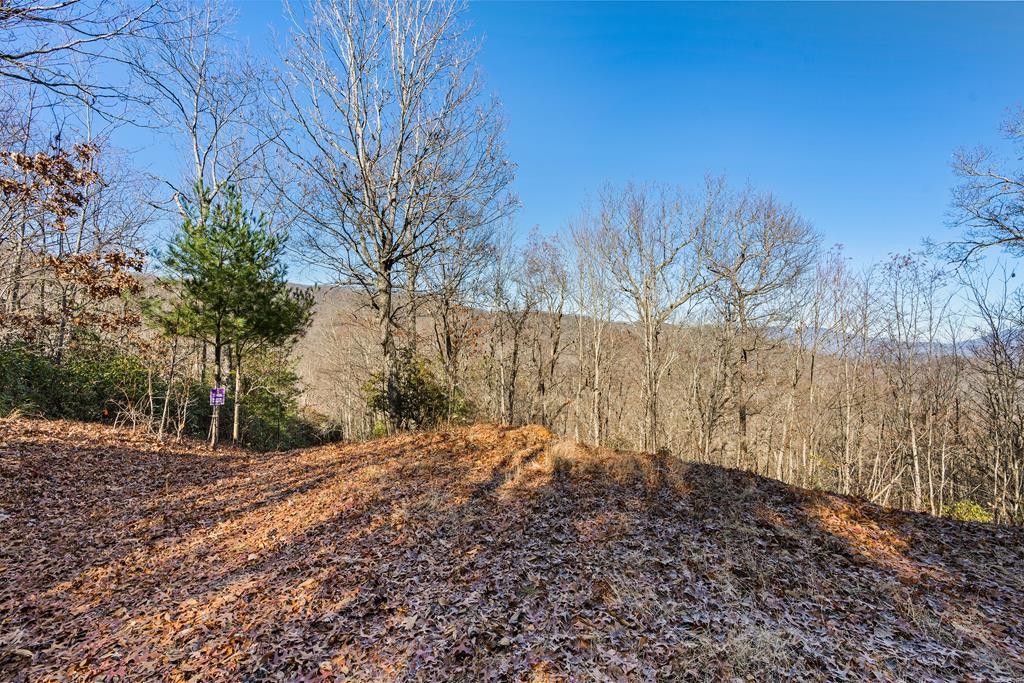 Sylva, Jackson County, NC Homesites for sale Property ID 418414619