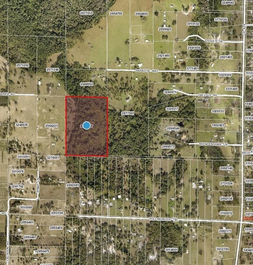 Eustis, Lake County, FL Undeveloped Land for sale Property ID