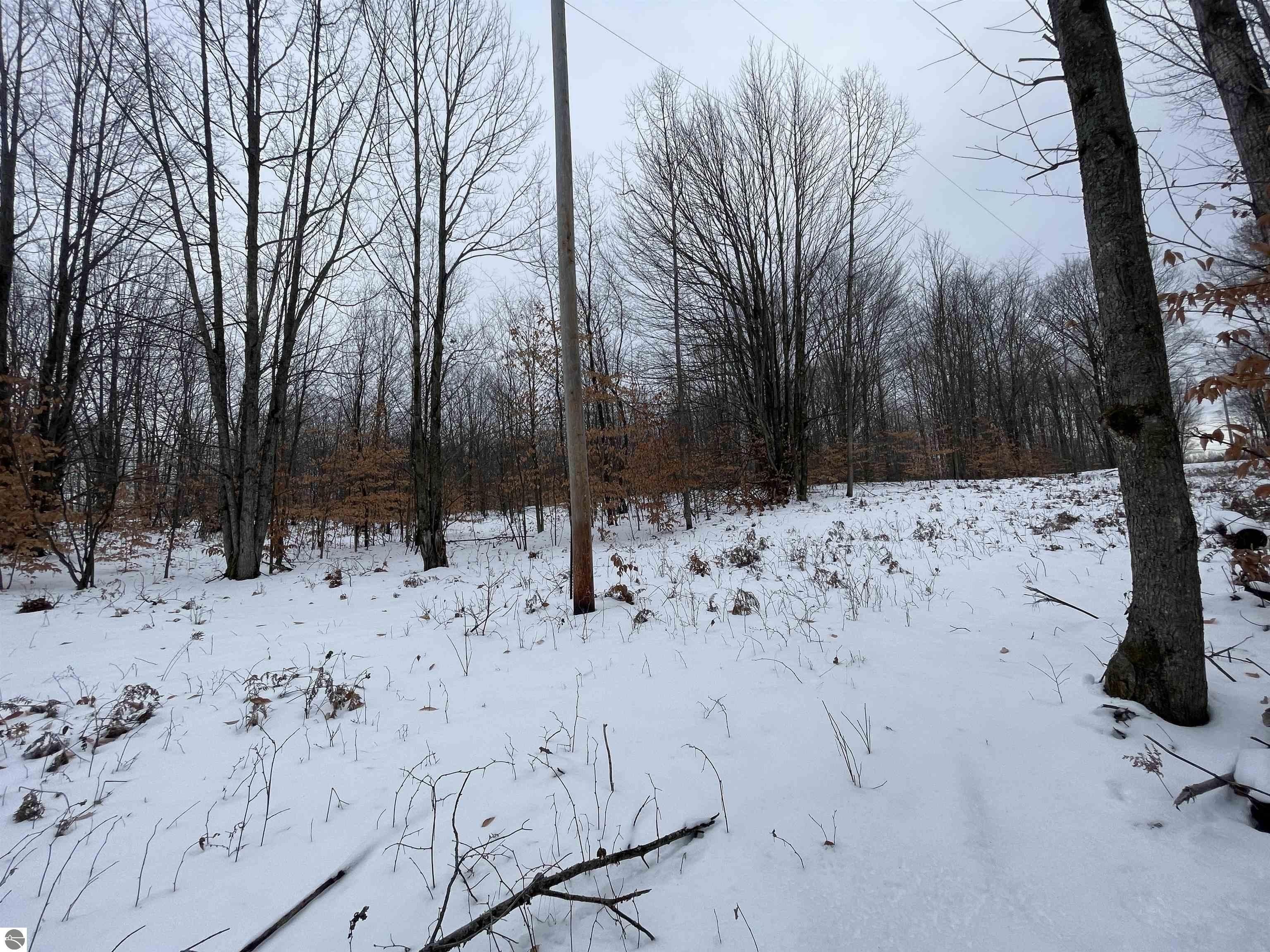 Lake City, Missaukee County, MI Undeveloped Land for sale Property ID