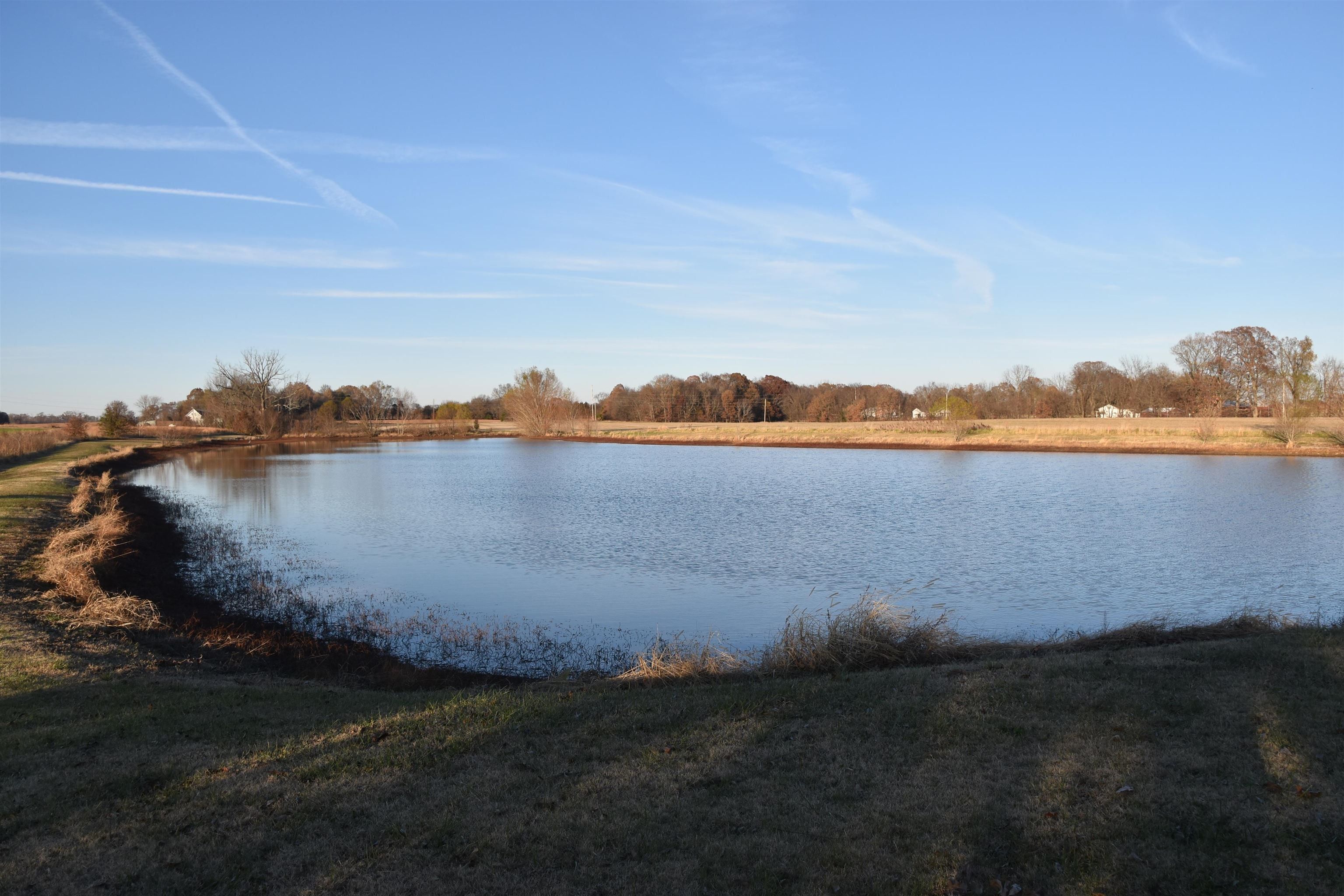 Atwood, Carroll County, TN House for sale Property ID 418415463