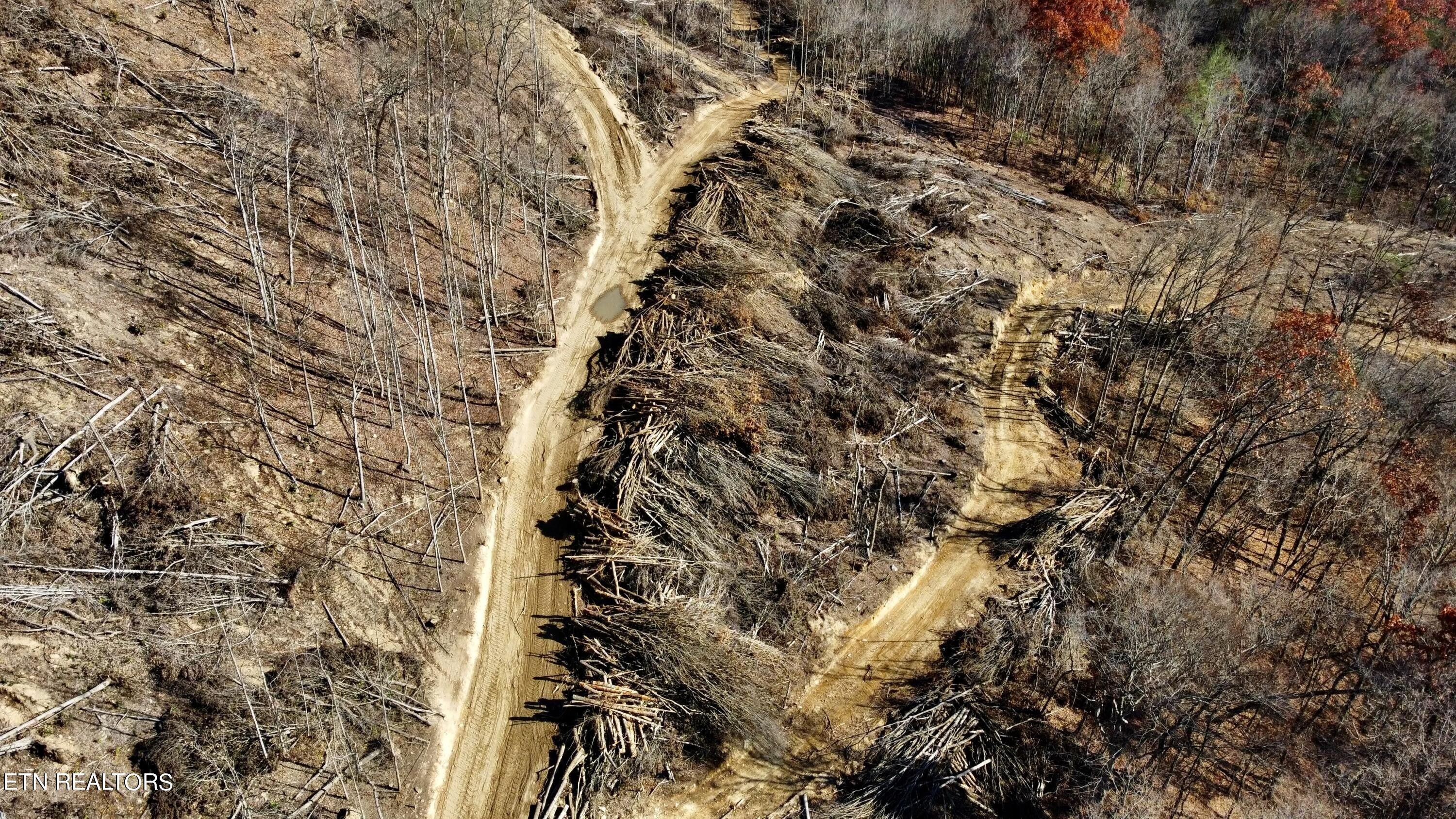 Oneida, Scott County, TN for sale Property ID 418415619 LandWatch