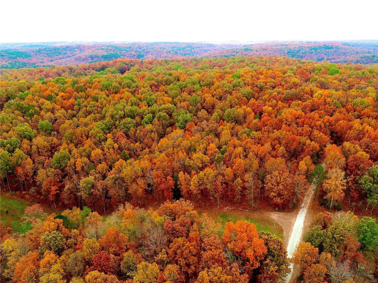 Licking, Texas County, MO Farms and Ranches for sale Property ID