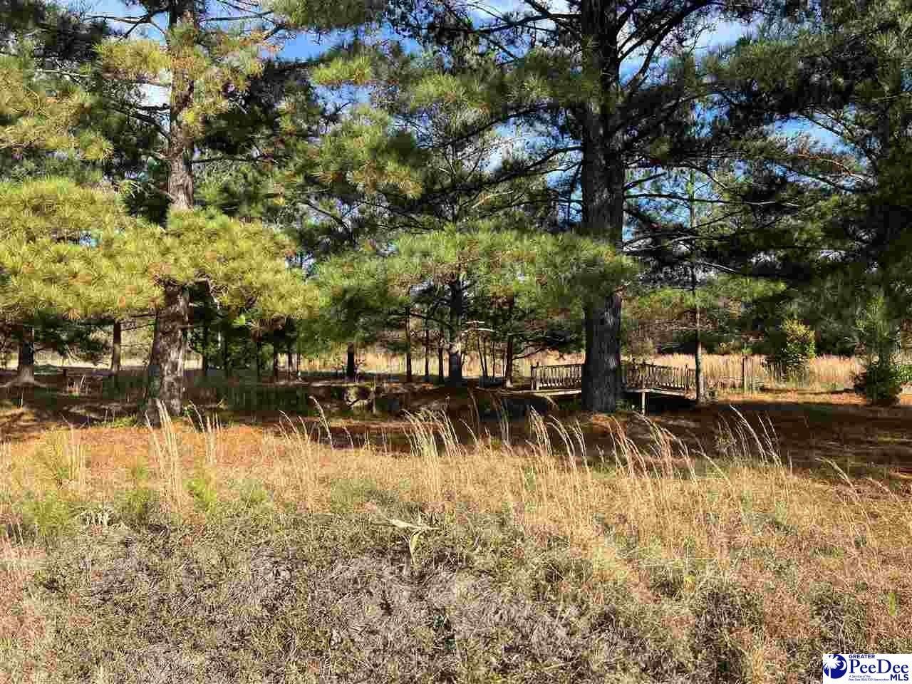 Darlington, Florence County, SC Undeveloped Land, Homesites for sale