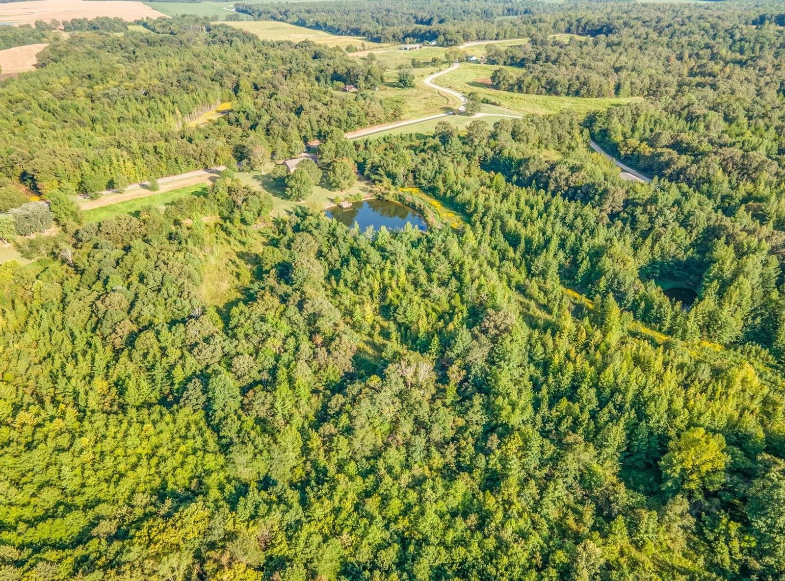 Somerville, Fayette County, TN Undeveloped Land for sale Property ID