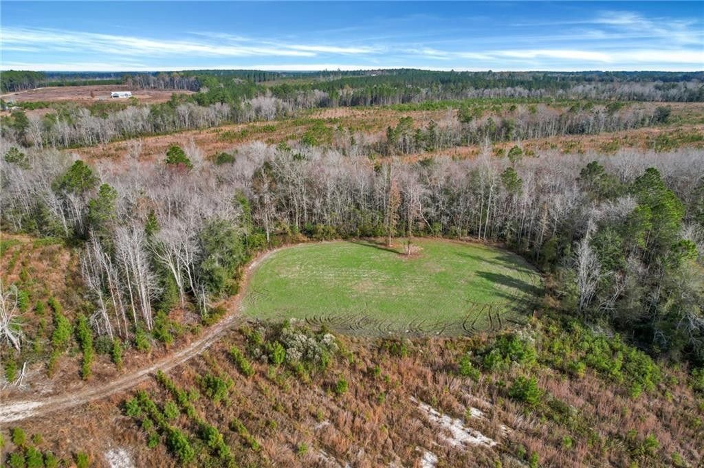 Hazlehurst, Jeff Davis County, GA Farms and Ranches for sale Property