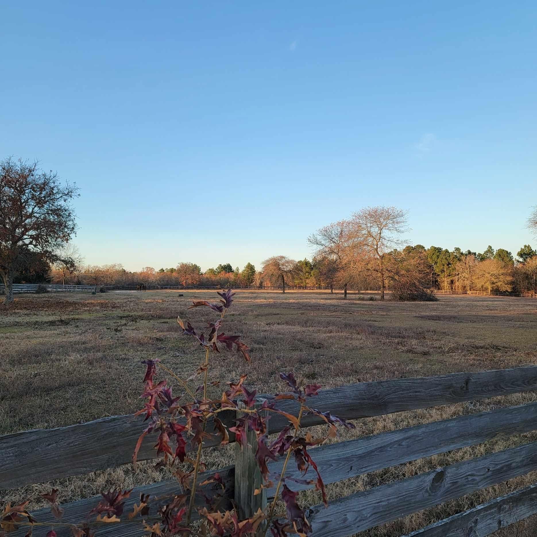 Wagener, Aiken County, SC Farms and Ranches for sale Property ID