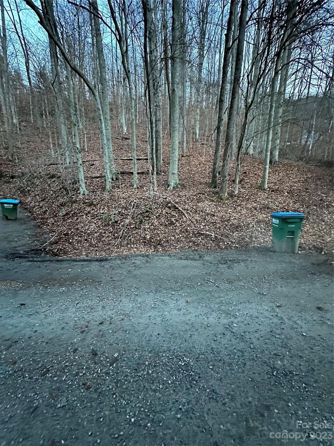 Weaverville, County, NC Undeveloped Land for sale Property ID