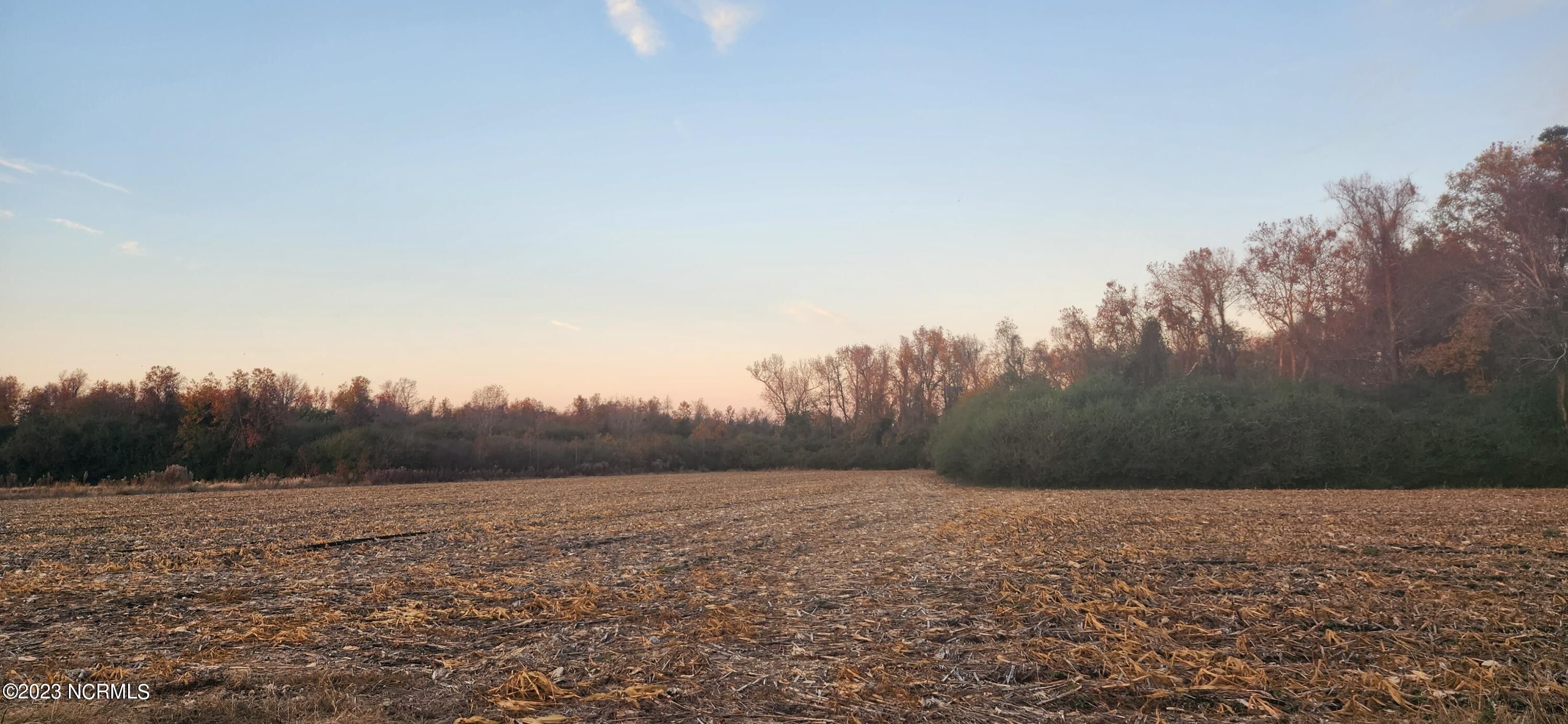 Engelhard, Hyde County, NC Undeveloped Land for sale Property ID