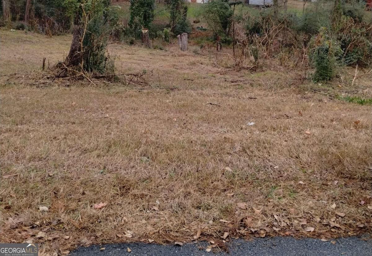 Conyers, Rockdale County, GA Undeveloped Land, Homesites for sale