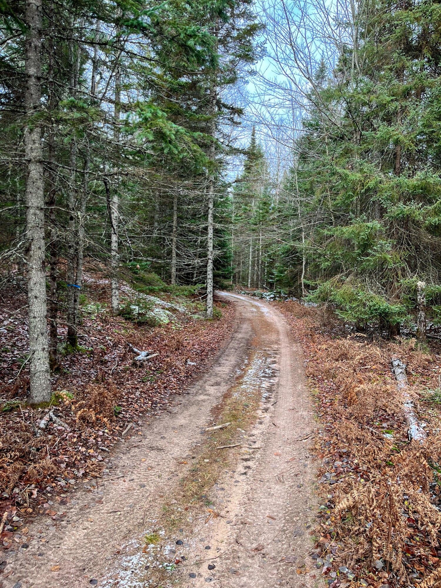 S Hendrie River RD, Hulbert, MI 49748 MLS 231103 LandWatch