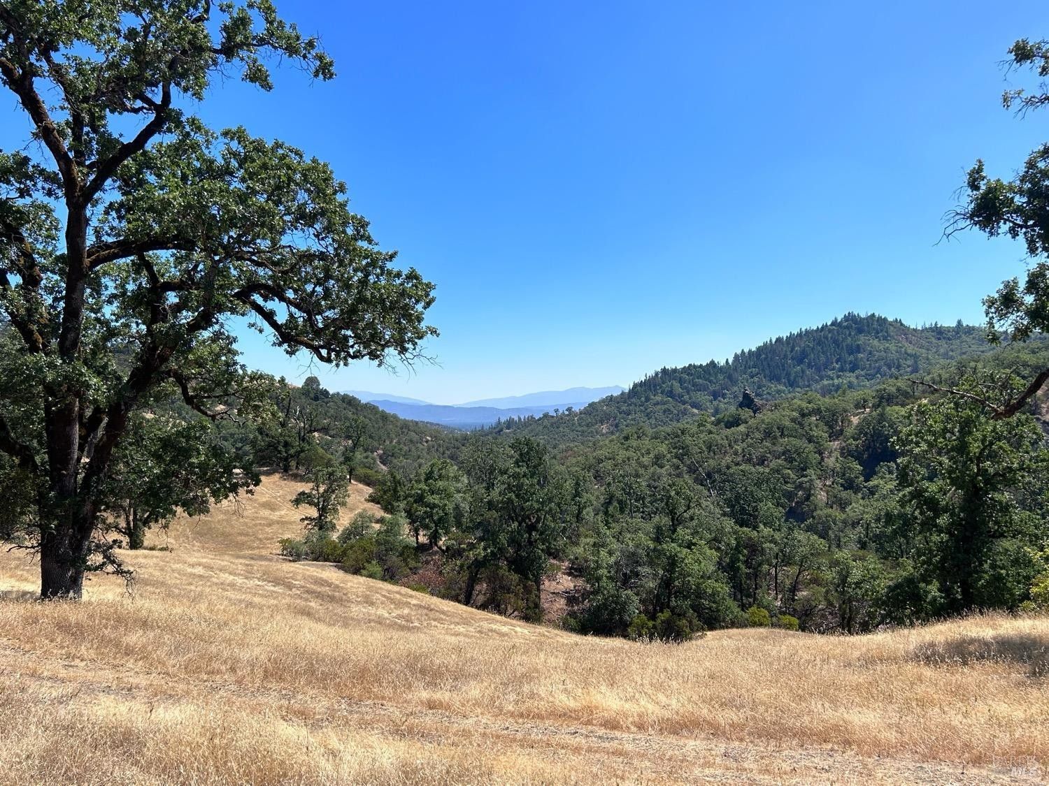Covelo, Mendocino County, CA Undeveloped Land for sale Property ID