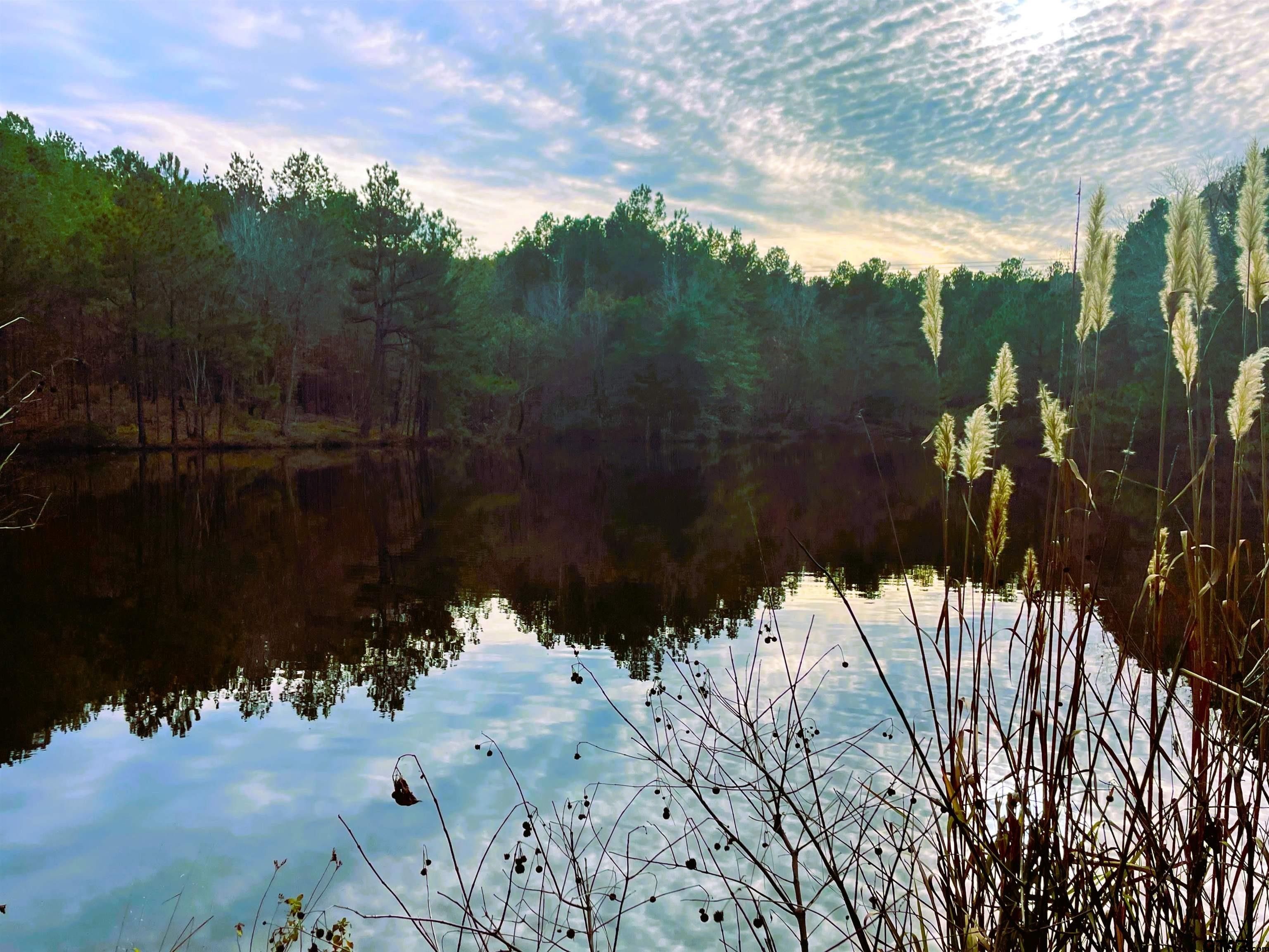 Lone Star, Morris County, TX Undeveloped Land for sale Property ID