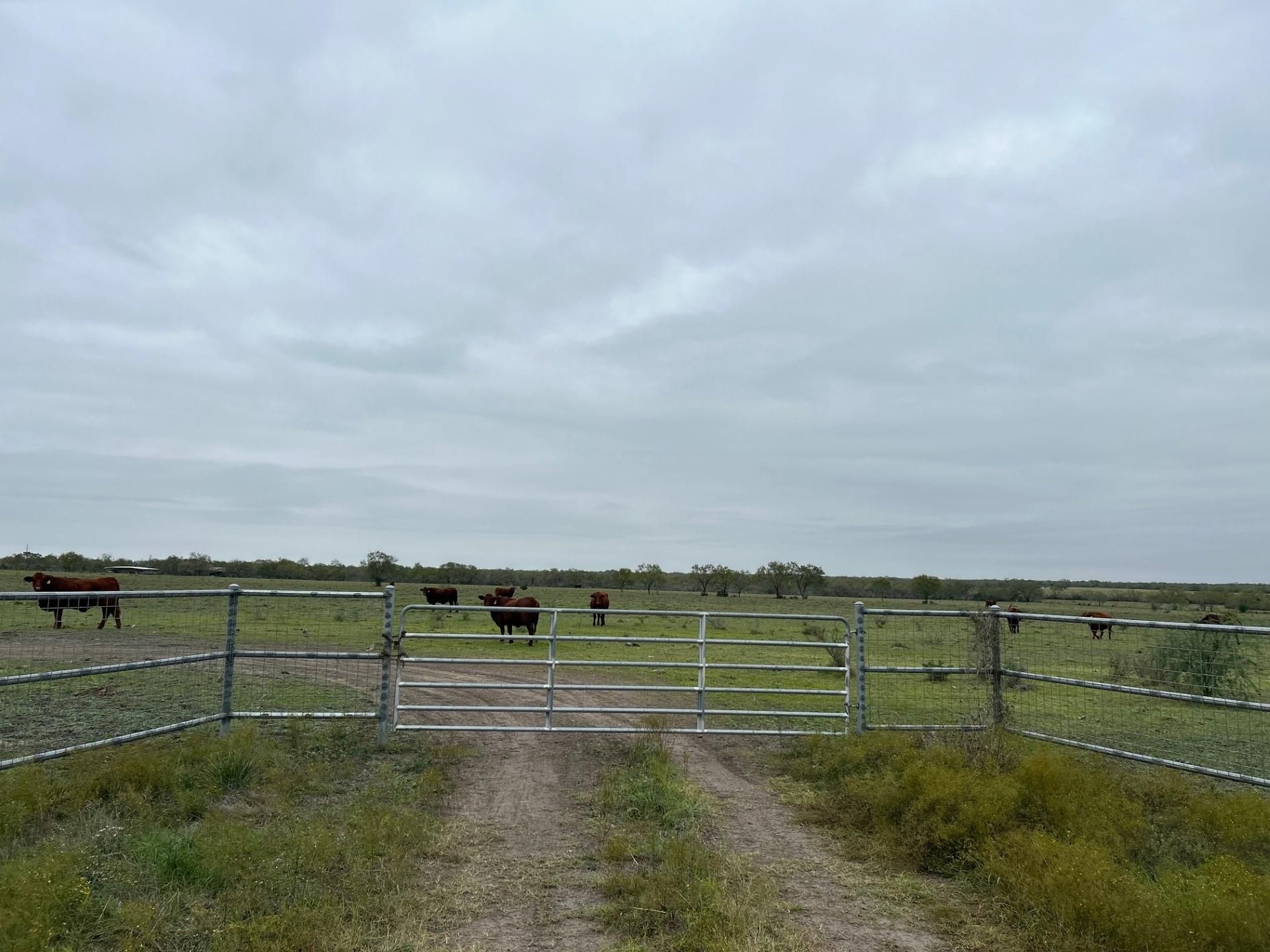 39.76 acres in Three Rivers, TX, 78071 LandWatch