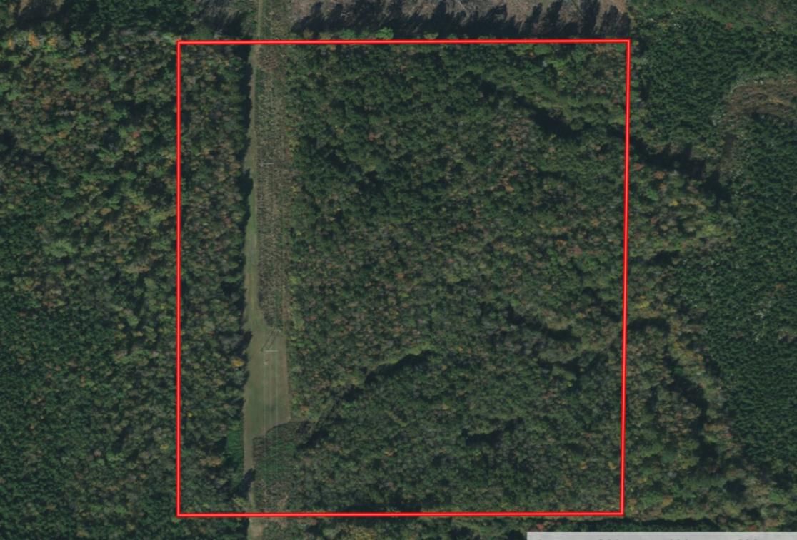 40 acres in Noxapater, MS, 39346 LandWatch