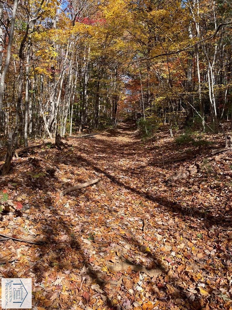 Woolwine, Patrick County, VA Undeveloped Land for sale Property ID