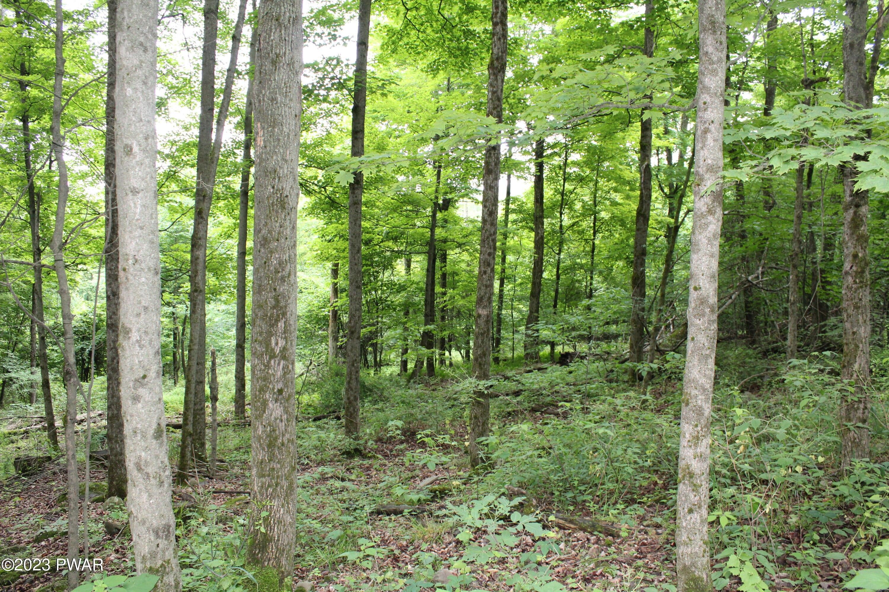 Newfoundland, Wayne County, PA Undeveloped Land for sale Property ID