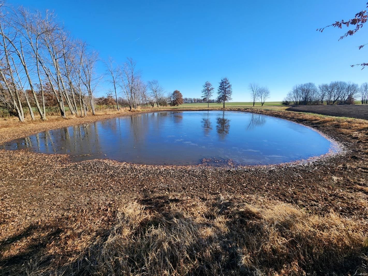 Mount Olive, Macoupin County, IL Farms and Ranches for sale Property ID