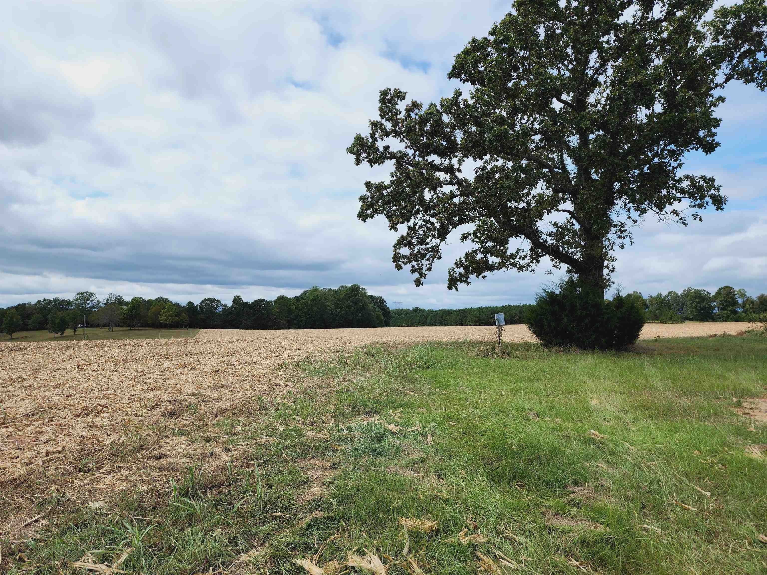 Chesnee, Spartanburg County, SC Undeveloped Land for sale Property ID 418428259 LandWatch