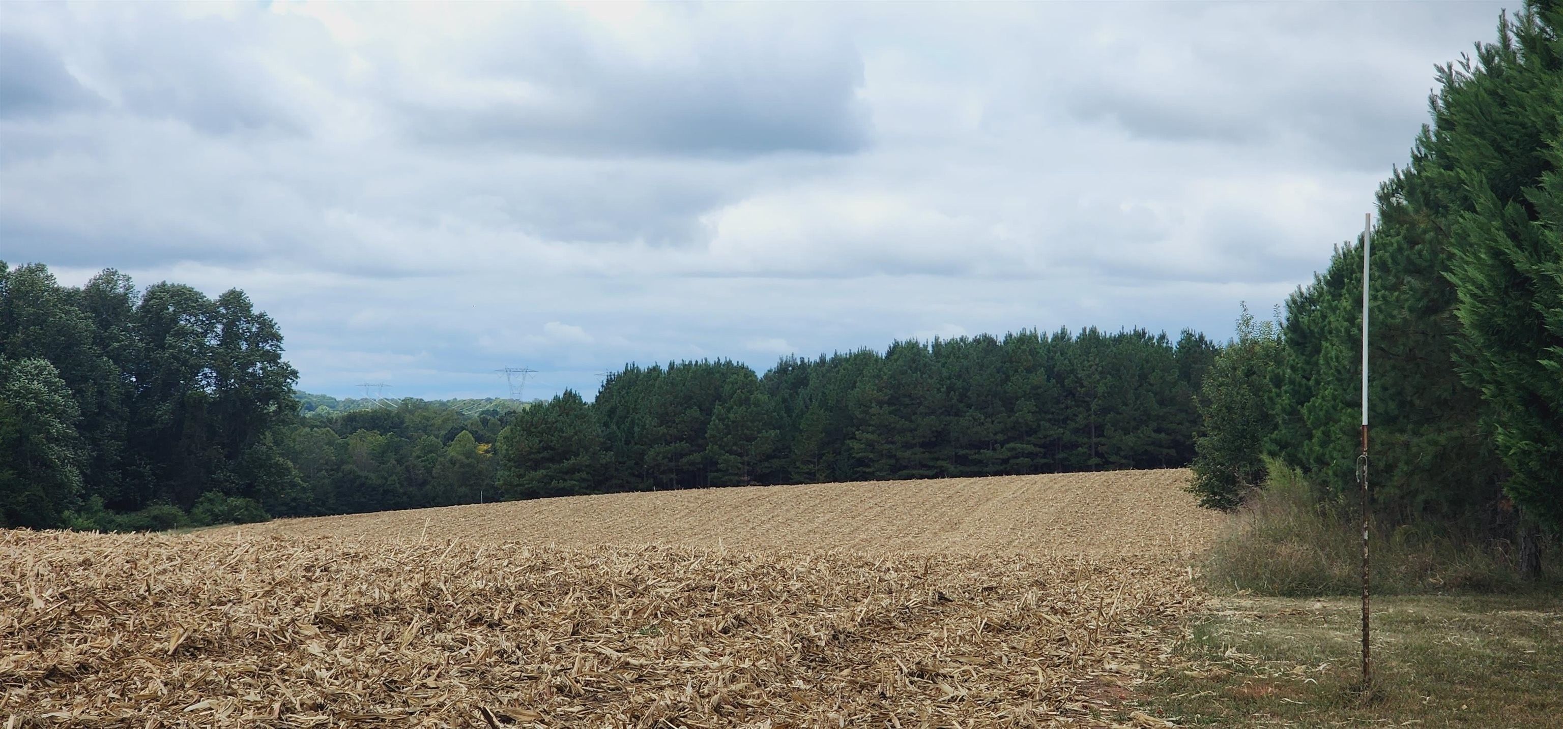 Chesnee, Spartanburg County, SC Undeveloped Land for sale Property ID