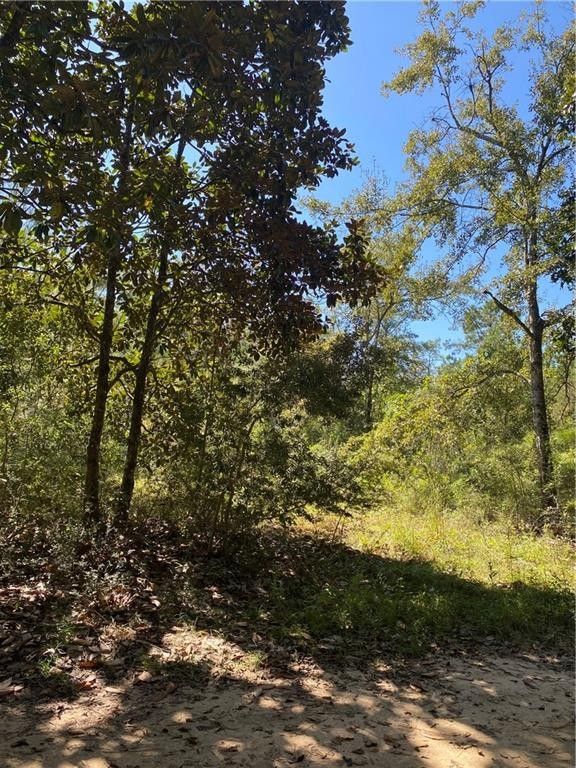Theodore, Mobile County, AL Undeveloped Land, Homesites for sale
