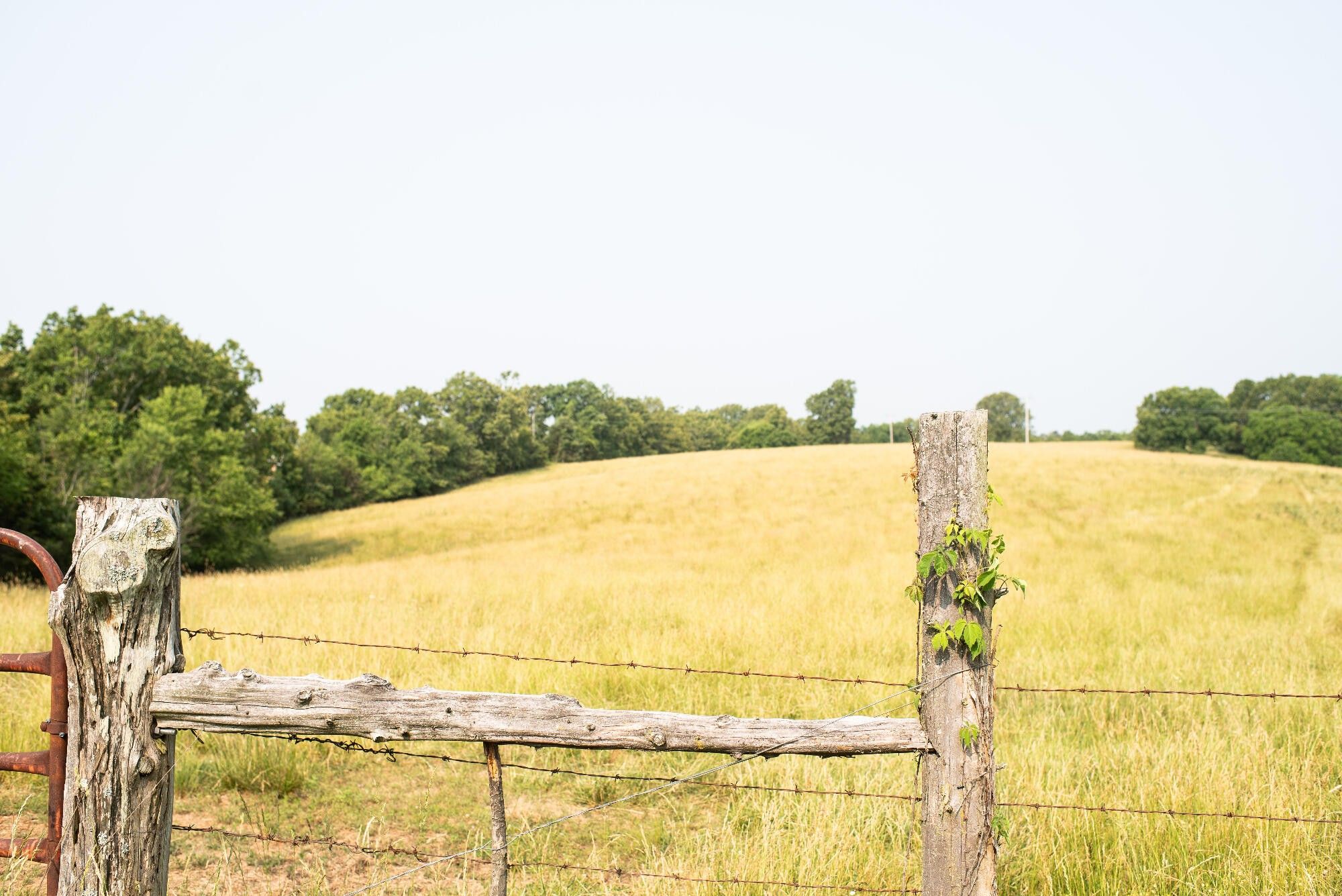 Elk Creek, Texas County, MO Farms and Ranches for sale Property ID