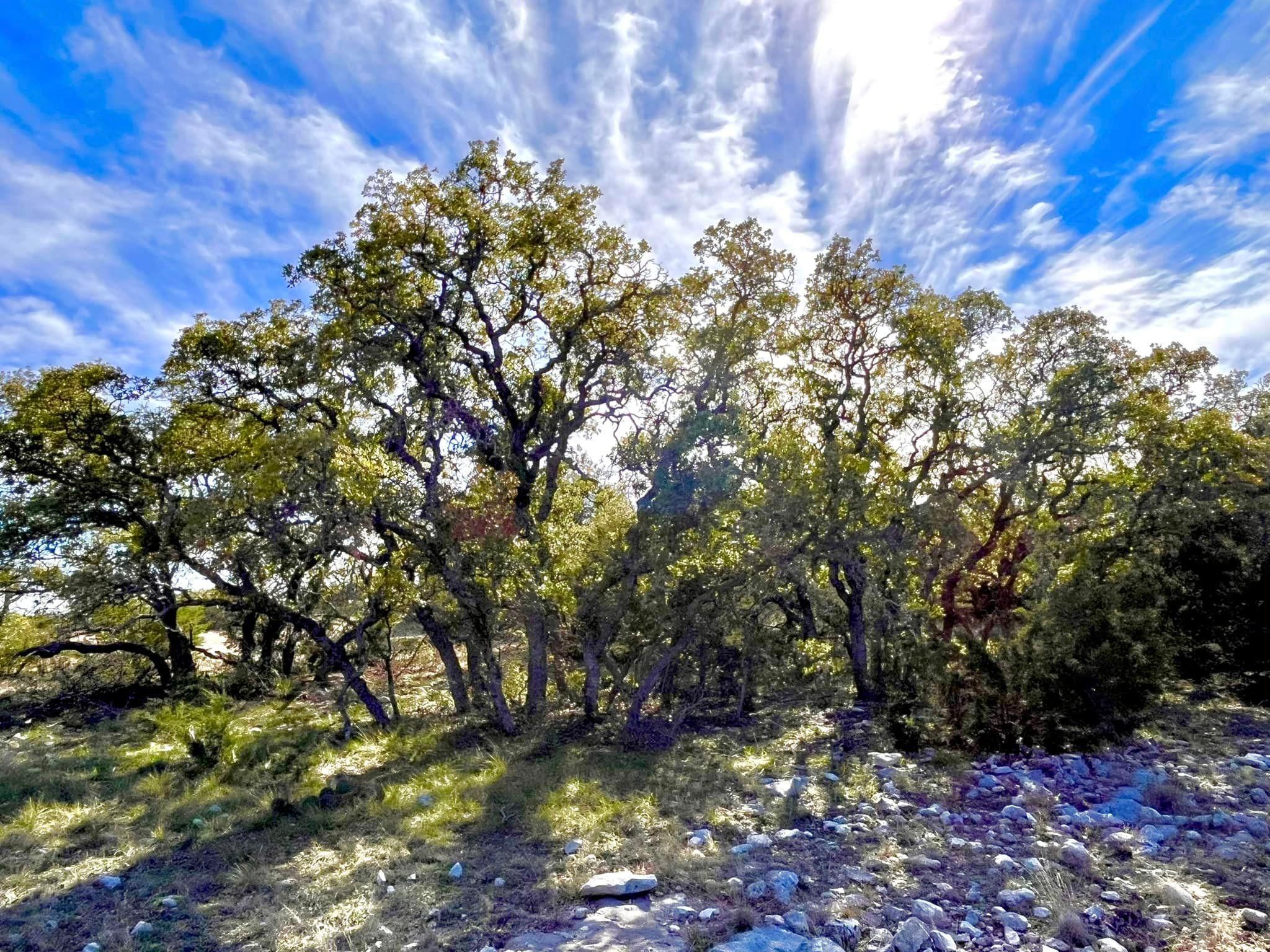 20.57 acres in Eldorado, TX, 76936 LandWatch