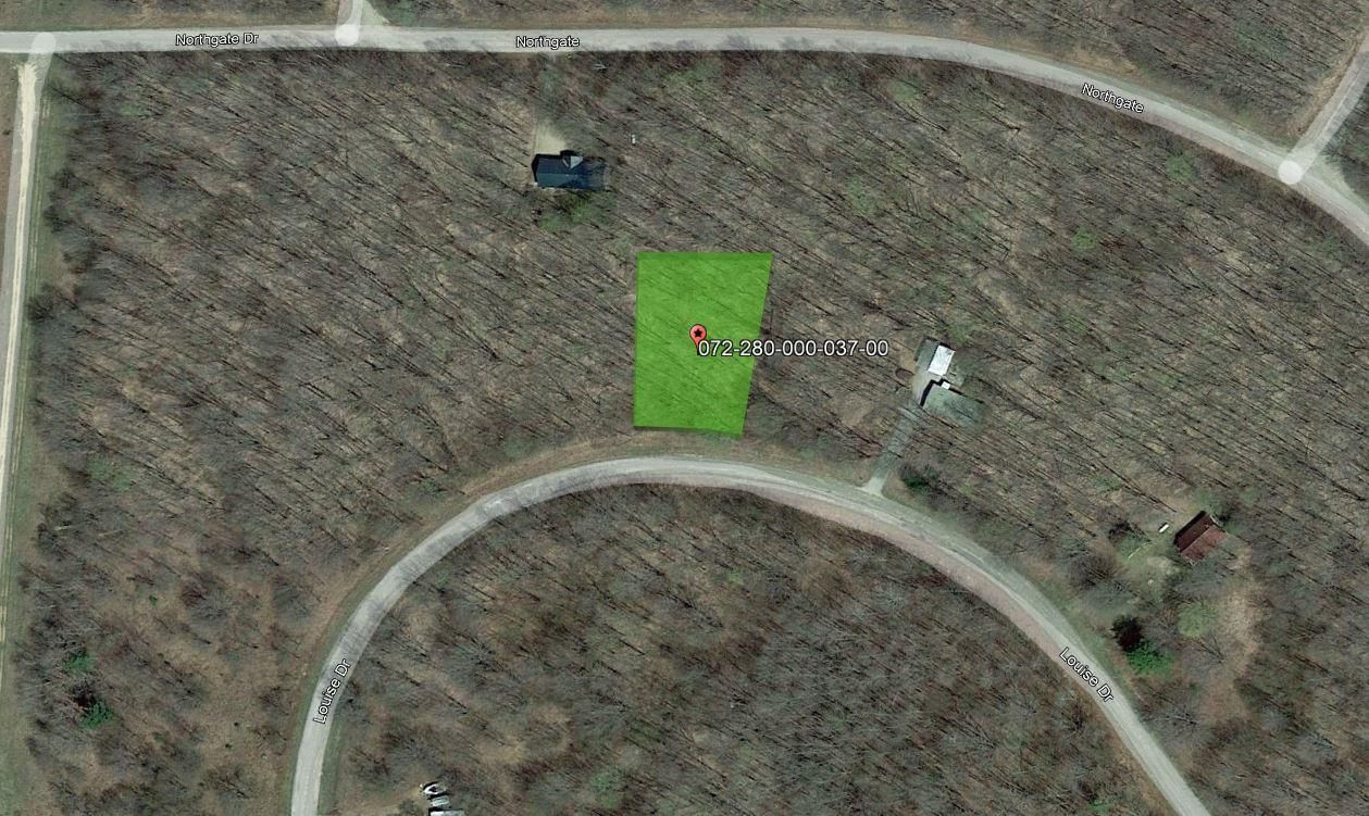 Elmira, Otsego County, MI Recreational Property, Undeveloped Land