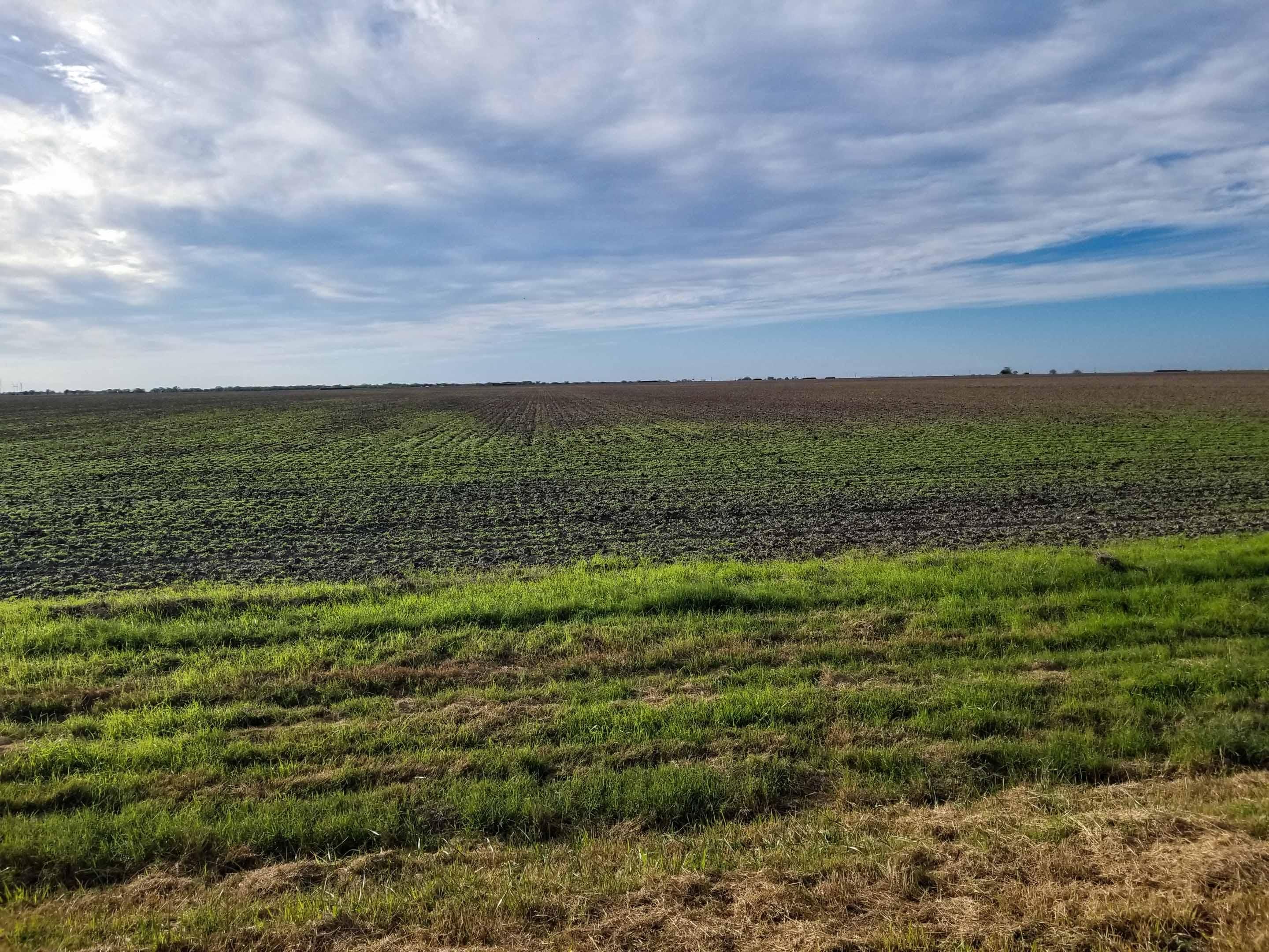 Skidmore, Bee County, TX Farms and Ranches for sale Property ID 418434149 LandWatch