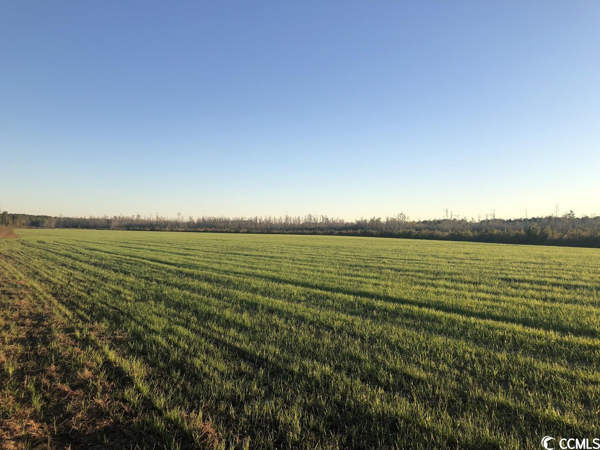 Hemingway, Williamsburg County, SC Farms and Ranches for sale Property ID 415979383 LandWatch