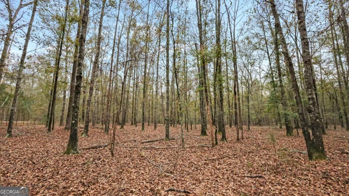 Ellaville, Schley County, GA Undeveloped Land for sale Property ID