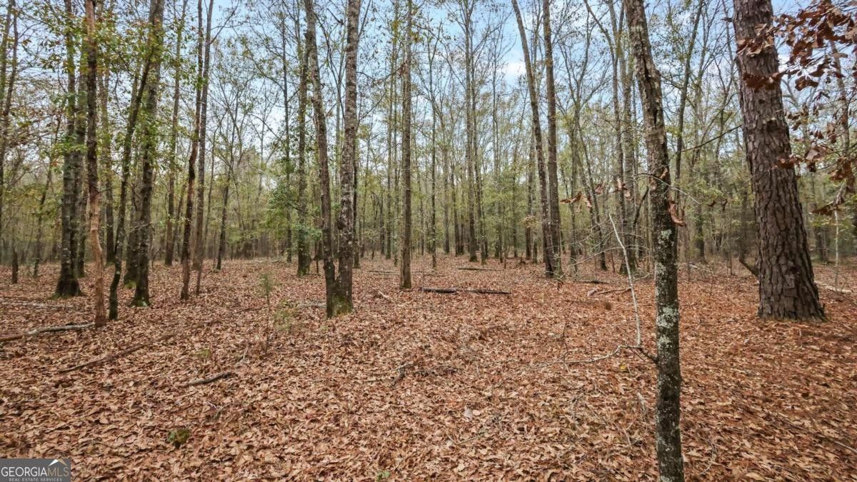 Ellaville, Schley County, GA Undeveloped Land, Homesites for sale