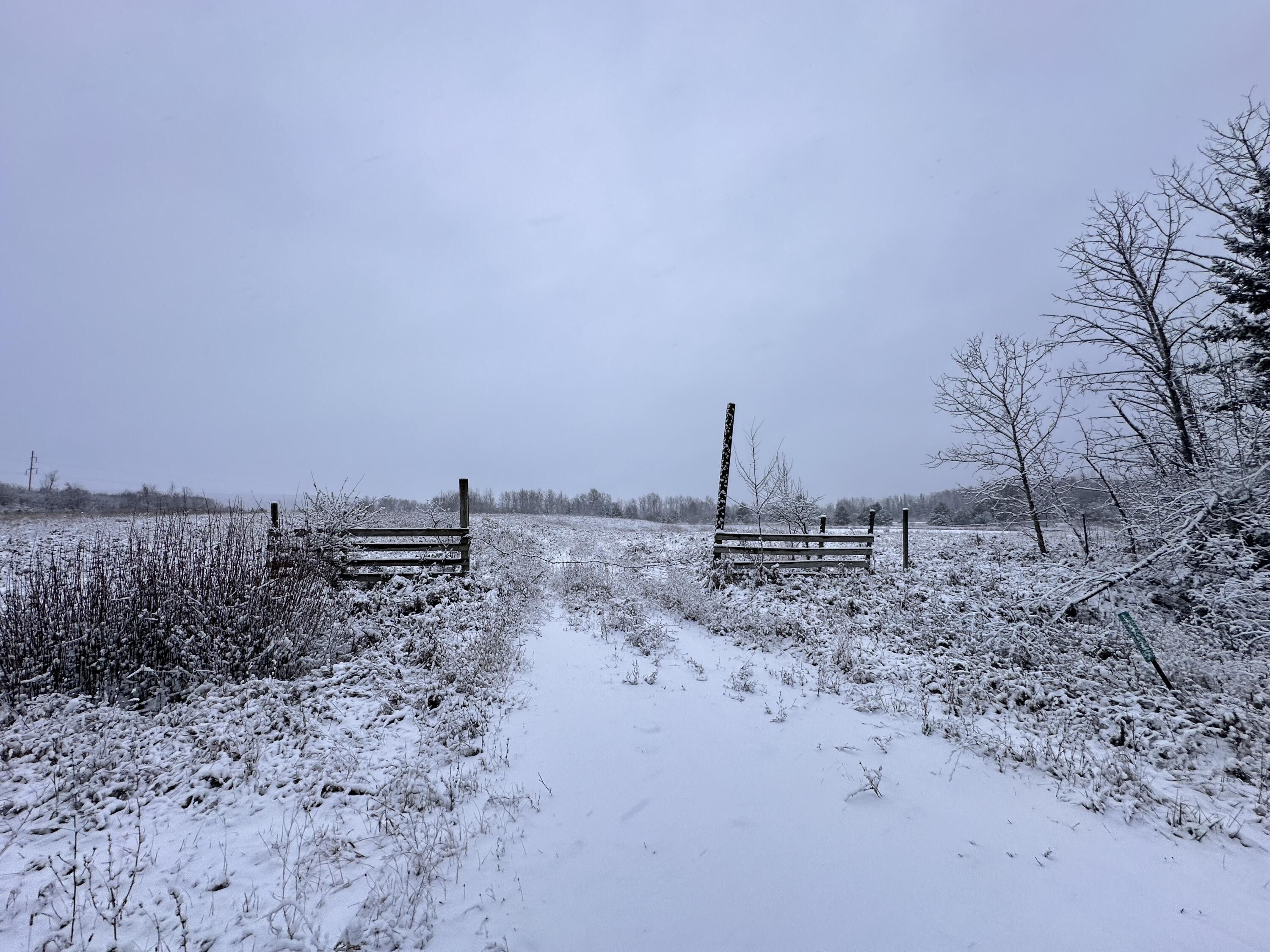 Atlanta, Montmorency County, MI Undeveloped Land, Lakefront Property